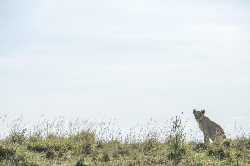 Mara Engai Lodge Lolgorien 외부 사진